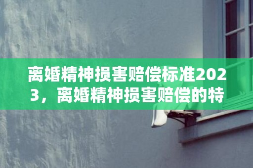 离婚精神损害赔偿标准2023，离婚精神损害赔偿的特征