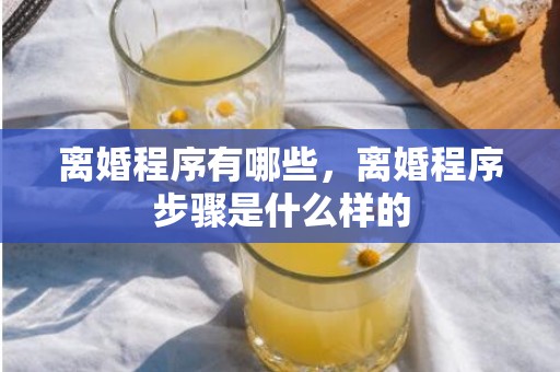 离婚程序有哪些，离婚程序步骤是什么样的