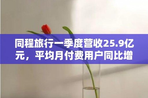 同程旅行一季度营收25.9亿元，平均月付费用户同比增长超三成