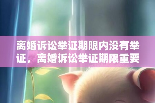 离婚诉讼举证期限内没有举证，离婚诉讼举证期限重要吗