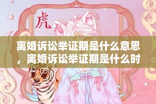 离婚诉讼举证期是什么意思，离婚诉讼举证期是什么时候