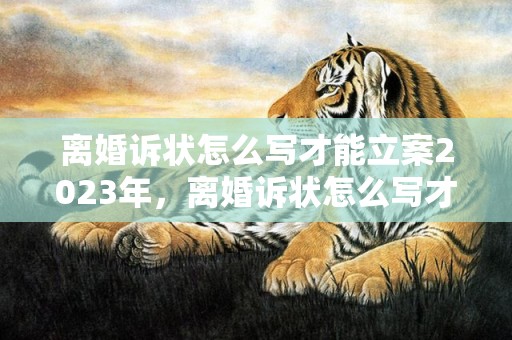 离婚诉状怎么写才能立案2023年，离婚诉状怎么写才能立案