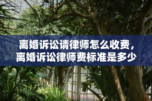 离婚诉讼请律师怎么收费，离婚诉讼律师费标准是多少