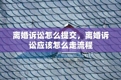 离婚诉讼怎么提交，离婚诉讼应该怎么走流程