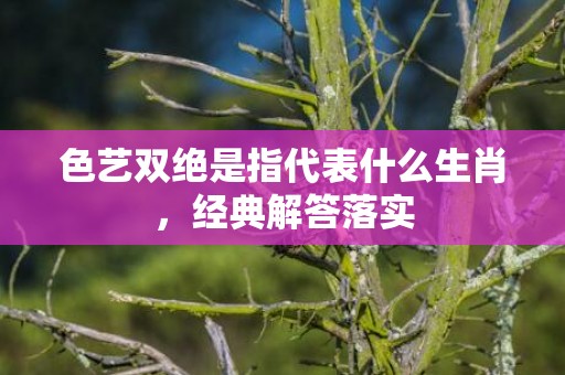 色艺双绝是指代表什么生肖，经典解答落实
