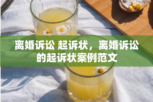 离婚诉讼 起诉状，离婚诉讼的起诉状案例范文