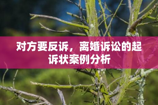 对方要反诉，离婚诉讼的起诉状案例分析
