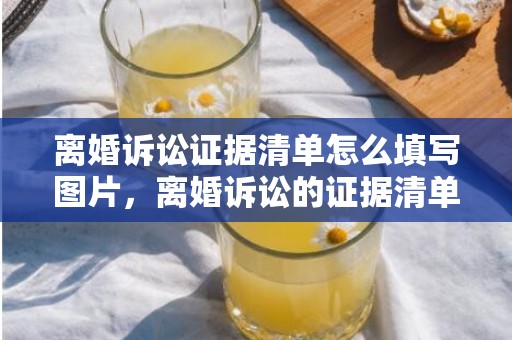离婚诉讼证据清单怎么填写图片，离婚诉讼的证据清单怎么写