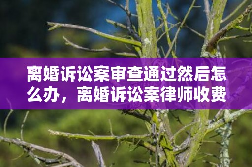 离婚诉讼案审查通过然后怎么办，离婚诉讼案律师收费标准
