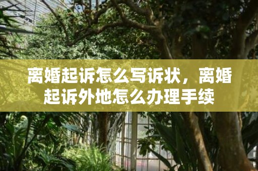离婚起诉怎么写诉状，离婚起诉外地怎么办理手续