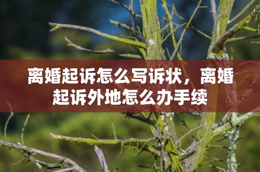 离婚起诉怎么写诉状，离婚起诉外地怎么办手续