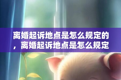 离婚起诉地点是怎么规定的，离婚起诉地点是怎么规定的
