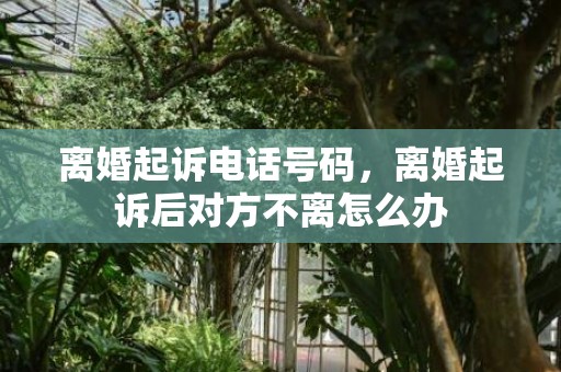 离婚起诉电话号码，离婚起诉后对方不离怎么办