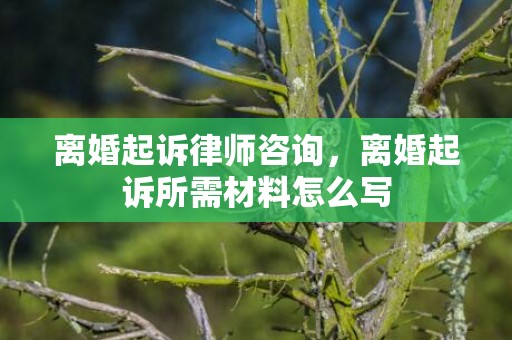 离婚起诉律师咨询，离婚起诉所需材料怎么写