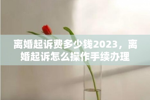 离婚起诉费多少钱2023，离婚起诉怎么操作手续办理