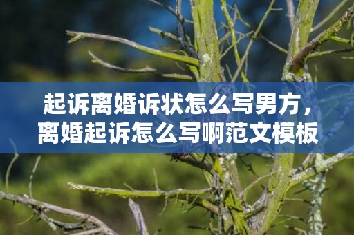起诉离婚诉状怎么写男方，离婚起诉怎么写啊范文模板