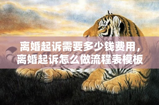 离婚起诉需要多少钱费用，离婚起诉怎么做流程表模板