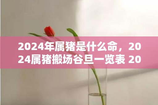 2024年属猪是什么命，2024属猪搬场谷旦一览表 2024年属猪最佳的搬场谷旦