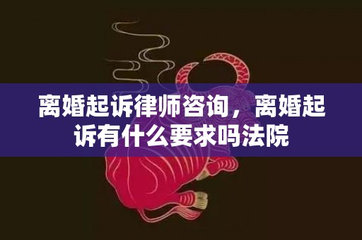 离婚起诉律师咨询，离婚起诉有什么要求吗法院