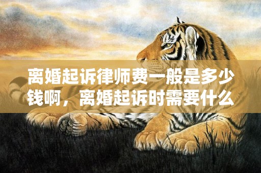 离婚起诉律师费一般是多少钱啊，离婚起诉时需要什么材料呢