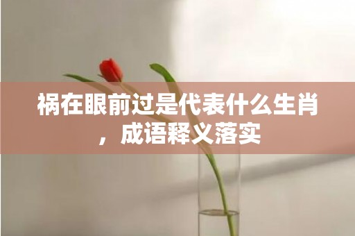 祸在眼前过是代表什么生肖，成语释义落实