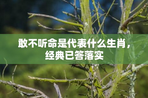 敢不听命是代表什么生肖，经典已答落实