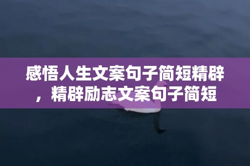 感悟人生文案句子简短精辟，精辟励志文案句子简短
