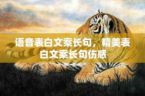 语音表白文案长句，精美表白文案长句伤感