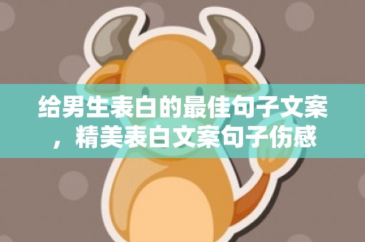 给男生表白的最佳句子文案，精美表白文案句子伤感