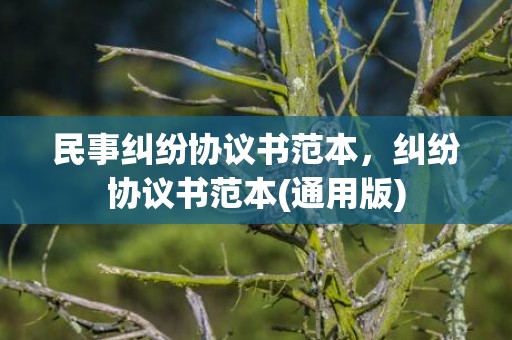 民事纠纷协议书范本，纠纷协议书范本(通用版)