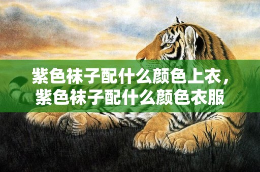 紫色袜子配什么颜色上衣，紫色袜子配什么颜色衣服
