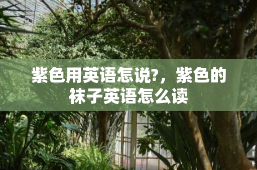 紫色用英语怎说?，紫色的袜子英语怎么读
