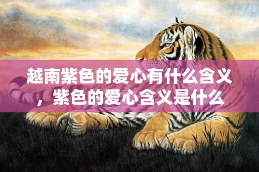 越南紫色的爱心有什么含义，紫色的爱心含义是什么