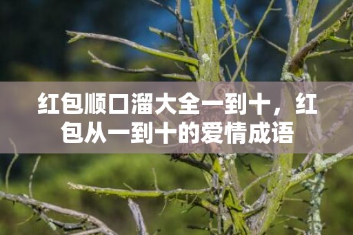 红包顺口溜大全一到十，红包从一到十的爱情成语