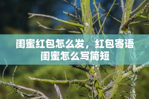 闺蜜红包怎么发，红包寄语闺蜜怎么写简短
