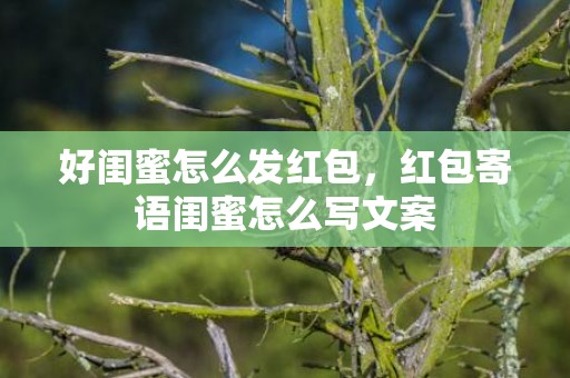 好闺蜜怎么发红包，红包寄语闺蜜怎么写文案