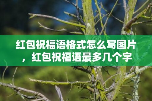 红包祝福语格式怎么写图片，红包祝福语最多几个字