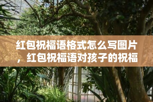 红包祝福语格式怎么写图片，红包祝福语对孩子的祝福