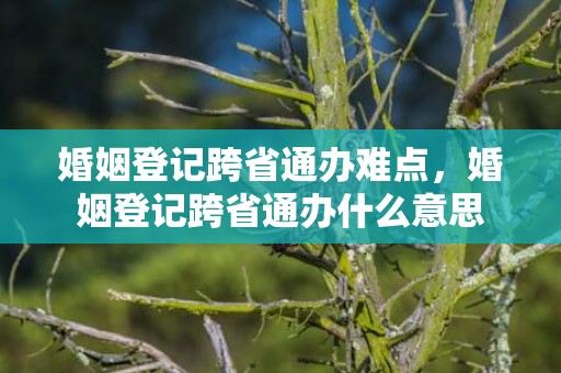 婚姻登记跨省通办难点，婚姻登记跨省通办什么意思
