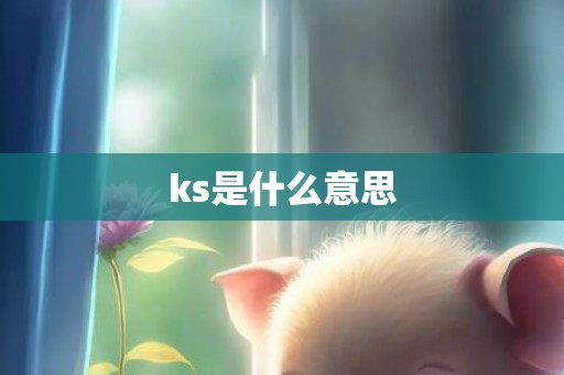 ks是什么意思
