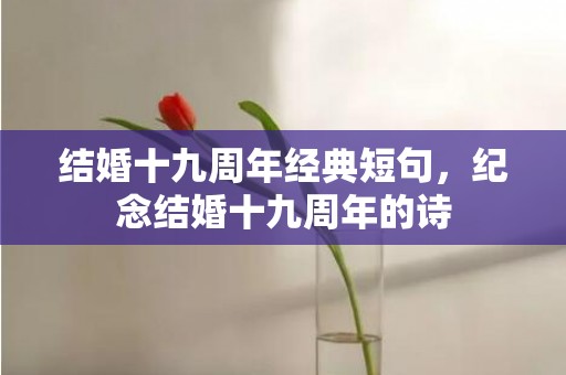结婚十九周年经典短句，纪念结婚十九周年的诗
