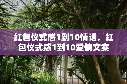 红包仪式感1到10情话，红包仪式感1到10爱情文案