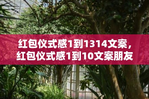 红包仪式感1到1314文案，红包仪式感1到10文案朋友