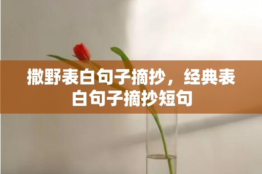 撒野表白句子摘抄，经典表白句子摘抄短句
