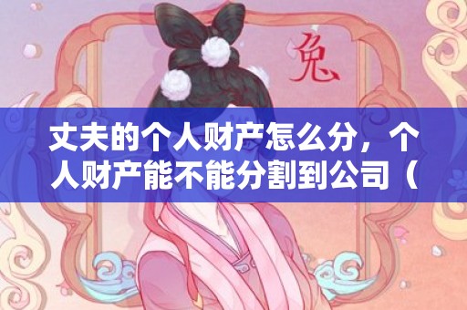 丈夫的个人财产怎么分，个人财产能不能分割到公司（个人财产能不能分割到公司财产）