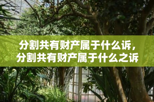 分割共有财产属于什么诉，分割共有财产属于什么之诉（分割共同共有财产）