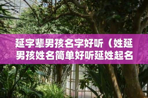 延字辈男孩名字好听（姓延男孩姓名简单好听延姓起名字）