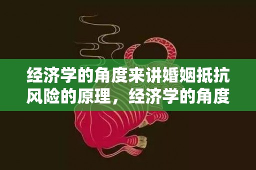经济学的角度来讲婚姻抵抗风险的原理，经济学的角度来讲婚姻PPT