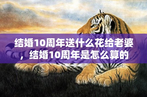 结婚10周年送什么花给老婆，结婚10周年是怎么算的