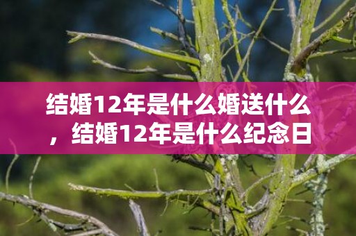 结婚12年是什么婚送什么，结婚12年是什么纪念日